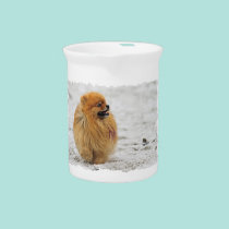 Edgrrrr #3 - Pomeranian pitchers