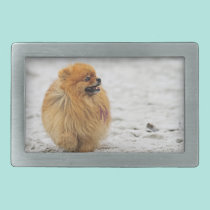 Edgrrrr #3 - Pomeranian belt buckles
