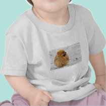 Edgrrrr #3 - Pomeranian t-shirts