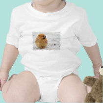 Edgrrrr #3 - Pomeranian t-shirts