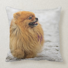 Edgrrrr #3 - Pomeranian Throw Pillows