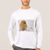 Edgrrrr #3 - Pomeranian t-shirts