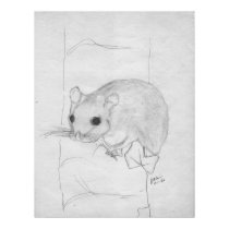Edible Dormouse posters