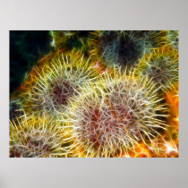 Edible Sea Urchin Posters