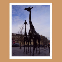 Edinburgh Giraffes Postcard postcards