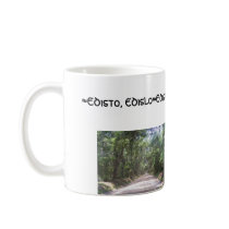 Edisto Beach Tree Tunnel mugs