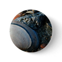 Edisto Island Shell Still Life buttons by JaZilla Edisto Island Shell Still Life buttons