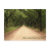 edisto, south, carolina, vacation, trips