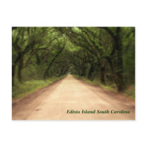 Edisto Island South Carolina - Customized postcards