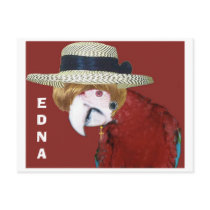 EDNA postcards