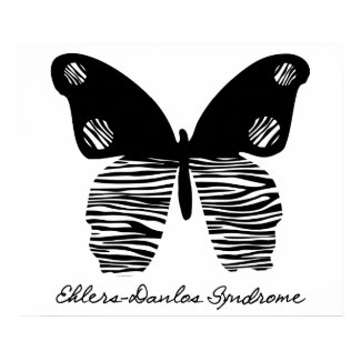 EDS Zebra Stripe Butterfly 24X20 Poster
