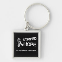 EDS Zebra Stripe Ribbon Striped Hope Key Chain