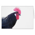 Eduardo the Andalusian Rooster card