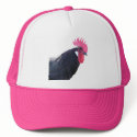 Eduardo the Andalusian Rooster hat