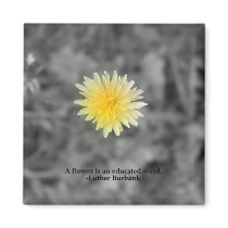 Educate the weeds magnets