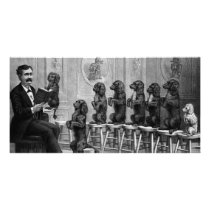 Educated Dogs photo cards by jarthurdavis Educated Dogs photo cards