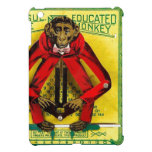 Educated Monkey Toy Graduation Gift Ipad Mini Case ipad mini cases
