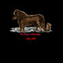 Educational Beast of Gévaudan Shirt