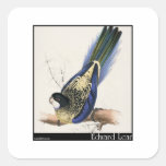 Edward Lear's Brown’s Parakeet Stickers