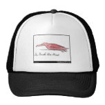 Edward Lear's Dark Red Bird Hat