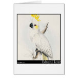 Edward Lear's Lesser Sulphur-Crested Cockatoo Greeting Cards