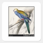 Edward Lear's Paleheaded Parakeet Stickers