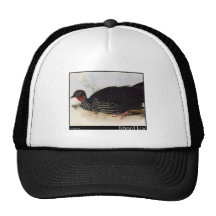 Edward Lear's Purplish Guan Mesh Hat