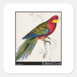 Edward Lear's Stanley Parakeet Adult Square Stickers