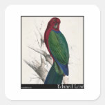 Edward Lear's Tabuan Parakeet Square Stickers