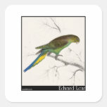 Edward Lear's Undulated Parakeet Sticker