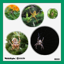 EEK Spiders ~ Decal wall decals