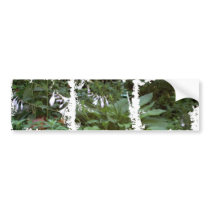 EelKat's Giant 100 Year Old Hosta bumper stickers by eelkat EelKat's Giant 100 Year Old Hosta bumper stickers