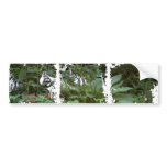 EelKat's Giant 100 Year Old Hosta Bumper Sticker