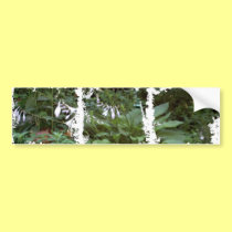 EelKat's Giant 100 Year Old Hosta bumper stickers