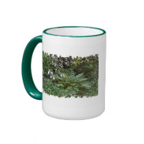 EelKat's Giant 100 Year Old Hosta mugs