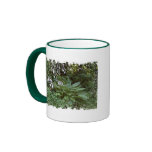 EelKat's Giant 100 Year Old Hosta Mugs