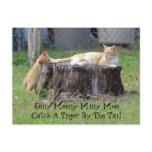 Eeny Meeny Miney Moe ... Post Card