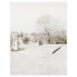 Eerie Cemetery flyers