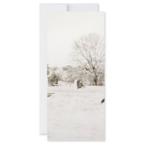 Eerie Cemetery Custom Rack Cards