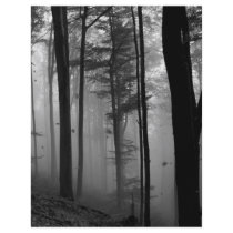 EERIE FOREST TREES LEAVES B&W flyers