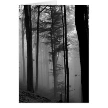 EERIE FOREST TREES LEAVES B&W GREETING CARD
