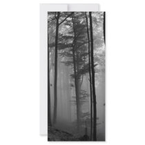 EERIE FOREST TREES LEAVES B&W rack cards by VoXeeD EERIE FOREST TREES LEAVES B&W rack cards