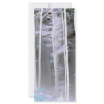 EERIE FOREST TREES LEAVES COLOR NEGATIVE rack cards