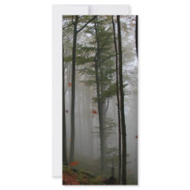 EERIE FOREST TREES LEAVES FULL FALL COLORS rack cards by VoXeeD EERIE FOREST TREES LEAVES FULL FALL COLORS rack cards