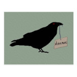 Eerie Raven Postcard