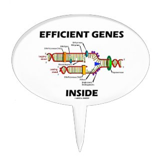 Efficient Genes Inside (DNA Replication) Cake Pick