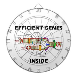 Efficient Genes Inside (DNA Replication) Dart Boards