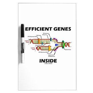 Efficient Genes Inside (DNA Replication) Dry-Erase Whiteboards