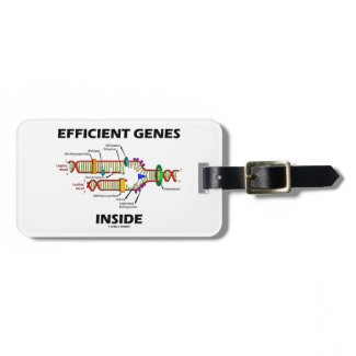 Efficient Genes Inside (DNA Replication) Tags For Bags