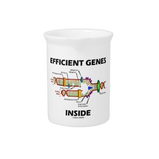 Efficient Genes Inside (DNA Replication) Drink Pitchers